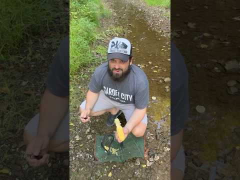 Will Corn Catch Minnows?!?! #jesus #creek #fishing #outdoors #fish #trapping #kentucky #corn #water