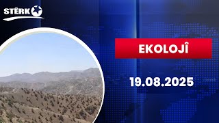 Ekolojî