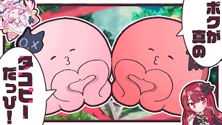 なんか・・・ボクがもう一人いるッピ・・・！？！？【#空奏イト /#雪白キャル / #ミクスト】
