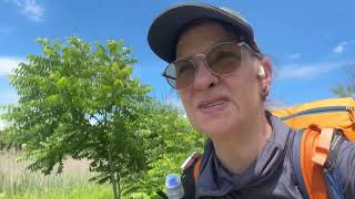 Appalachian Trail Day 117