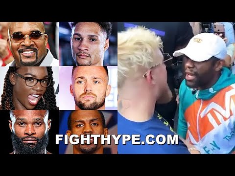 FIGHTERS REACT TO FLOYD MAYWEATHER BRAWL WITH JAKE PAUL ...