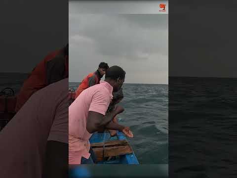Fishing in the Deep Sea