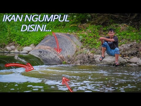 Lokasi ini cocok buat kalian pecinta mancing,disini ikan nila melimpah ruah