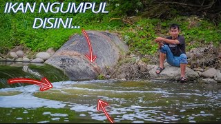 Lokasi ini cocok buat kalian pecinta mancing,disini ikan nila melimpah ruah