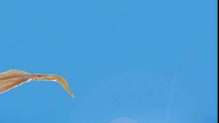 Nestea w nowej letniej cenie