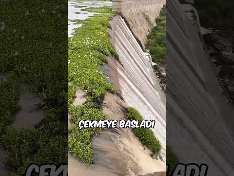 Küçük Bir Hareketle Tüm Barajı Temizledi.. 🌊🧹