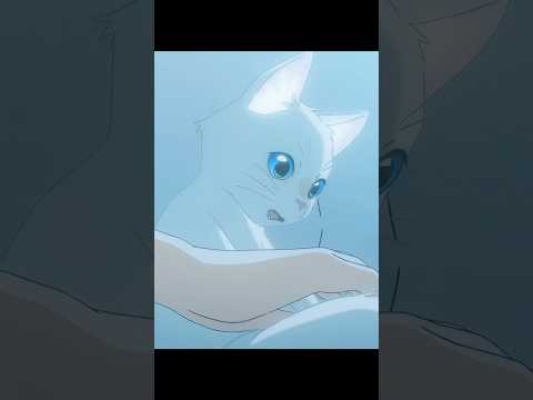 КОШКА ПРЕВРАТИЛАСЬ В ДЕВУШКУ #анимемомент #аниме