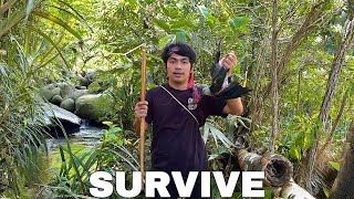 Bertahan hidup dalam hutan,tanpa makanan,tanpa air #kinsurvive