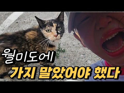 월미도에서 이상한 녀석을 만났다!!