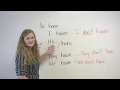 Understanding the Verb 'To Have'