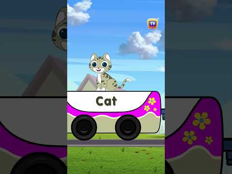 ABC Animal Train Phonics Song -Part1 #BabyTaku #Shorts #ChuChuTV #NurseryRhymes #KidsSongs #Animals