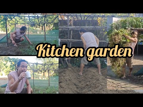 kitchen garden home 👨‍🌾🦋// Bagan kaise Banaega/🎍 Step by step (17/10/2025)