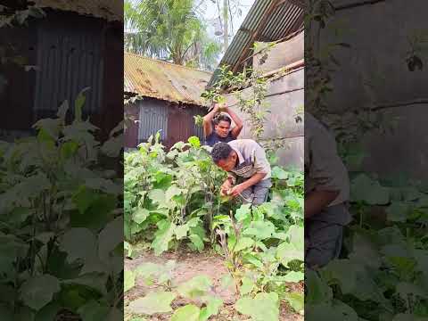 #funnyvideo #funny #viralvideo đ