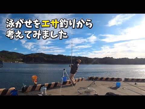 今回も青物釣り　～泳がせのエサ釣りは コレやると良い感じです