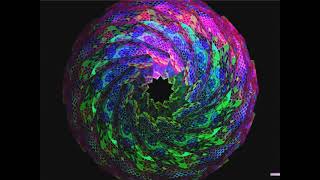 Microsoft Plus! for Windows 98 - All Organic Art Screensaver 3D Animations
