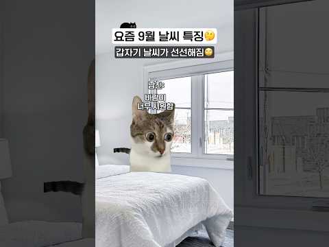 요즘 9월 날씨 특징ㅋㅋ