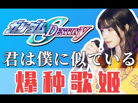 Gundam Seed —— 君は仆に似ている —— See Saw （Cover by: Hitomi）