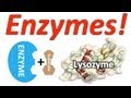 Exploring Enzymes Through Mr. W's Song