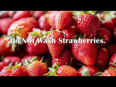 Do NOT Wash Your Strawberries | CaribbeanPot.com
