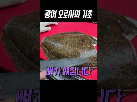 광어 오로시의 기초