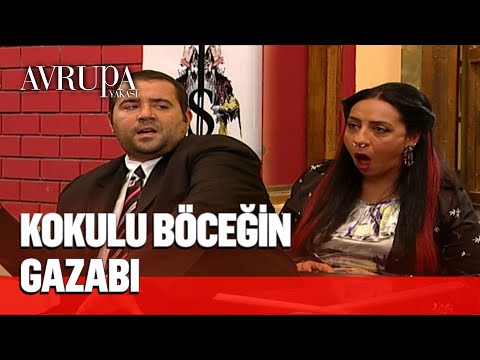 Volkan, kokulu böceğin gazabına uğruyor - Avrupa Yakası