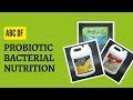 Bacterial Metabolism and Energy Sources