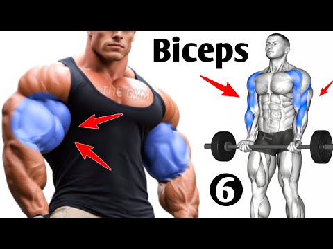 6 Most Powerful Biceps Exercises (Bigger Biceps Fast)
