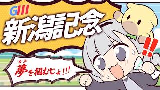 ＼🚩競馬配信🏇／　新潟記念【 白百合リリィ / ビビドニア 】