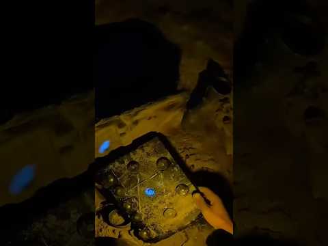 Incrível!!! 😱😱 #viralvideo