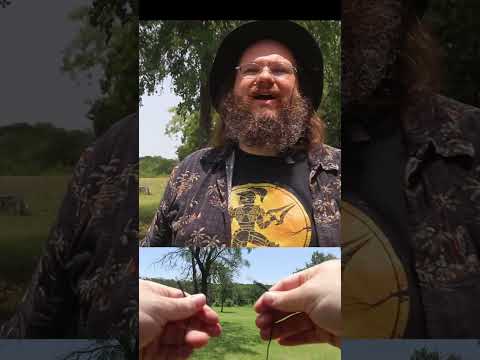 PackTenna Linked EFHW 40M Tuning and Review