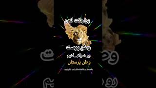4 نوامبر 2025