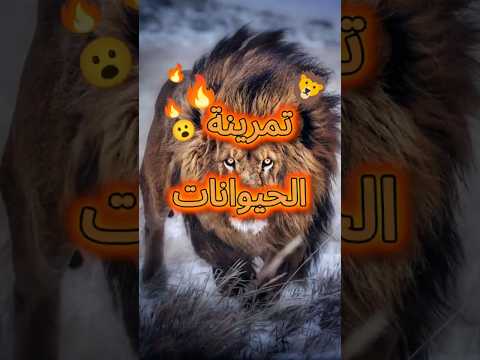 تمارين البّرية ؟؟!🤔🔥           #anime #like #زورو  #ناروتو #انمي #غوكو #naruto
