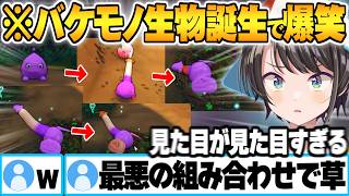 自然界で生き抜くバカゲーの皮を被った神ゲーで最悪の組み合わせに困惑と爆笑が止まらない大空スバルw【Strange_Seed ホロライブ 切り