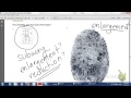 Scale Drawings and Proportionality Concepts