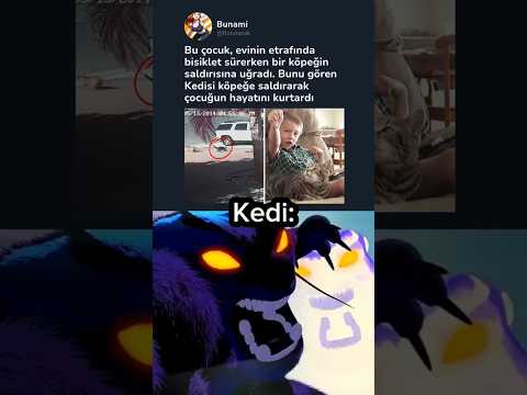 Sahibinin çocuğunu tehlikede olduğunu gören kedi 🥶