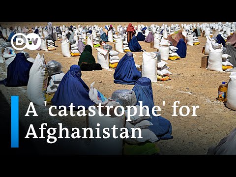 Lack of funds: World Food Programme cuts food to two million Afghans | DW News