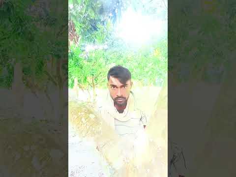 #timelapse, start to finish alone build log cabin (wooden house), how to build wooden cabin, surviva