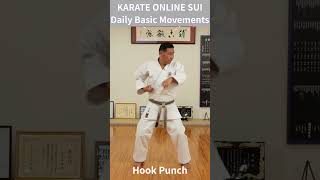 KARATE ONLINE SUI - Daily Basic Movements  Hook Punch