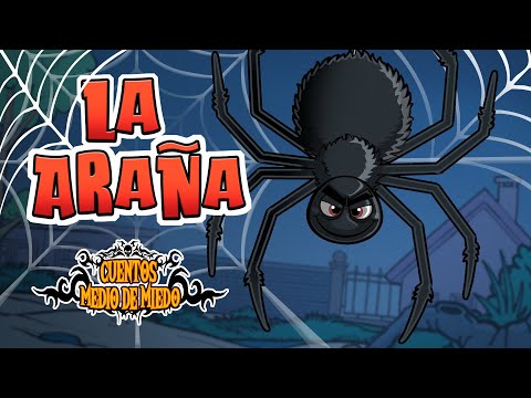 La araña - Cuentos medio de miedo - Historias de miedo para niños
