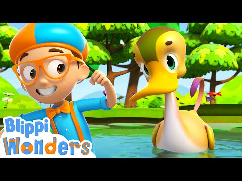 Ducks | Blippi Wonders| Cartoons for Kids - Explore With Me!