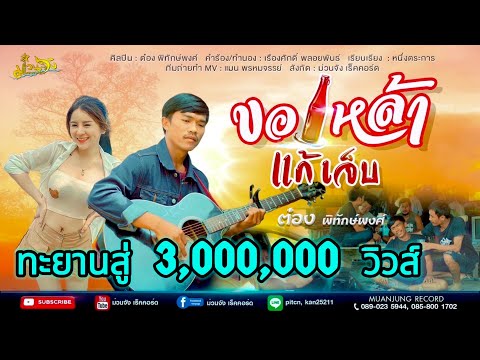 ขอเหล้าแก้เจ็บ(ให้ฟ้าวรินมา) - ต๋อง พิทักษ์พงศ์  ม่วนจัง เร็คคอร์ด [Official MV] ต้นฉบับ