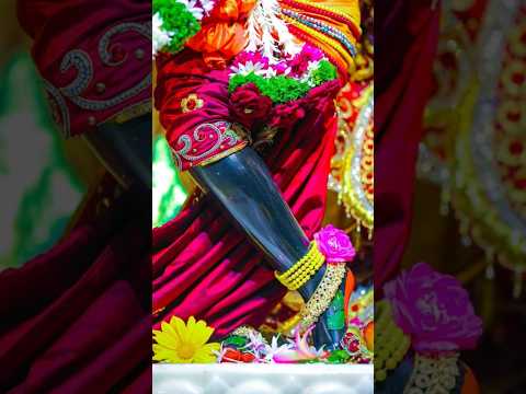 बोलो वृंदावन श्री बांकेबिहारी लाल की जय 🙌👏#virdavan #bankebihari #viralshort #ytshaorts #treanding