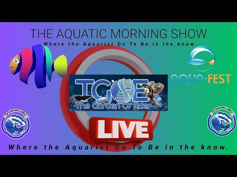 The Aquatic Morning Show Aqua Fest - Aqua Scaping Demonstration By Shelby & Grant Eder from the Garden of Eder.