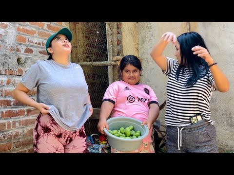 Nos fuimos a cortar mangos con la Mónica 🥰 | Que bendición