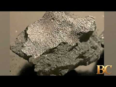 Meteorite that crashed into New Jersey home contains building blocks of life, astronomers say