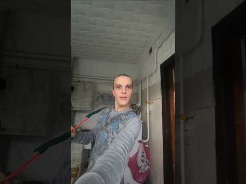 Оси взимку! #tiktok #shortvideo #shorts #top