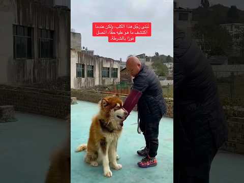 تبنى رجل هذا الكلب ولاكن عندما.. اكتشف ماهو عليه حقا اتصل بالشرطة فورا