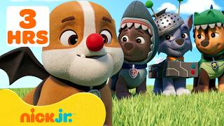Paw Patrol | Los mejores disfraces de Halloween de la Patrulla de Cachorros 🎃 | 3 Horas | Nick Jr.