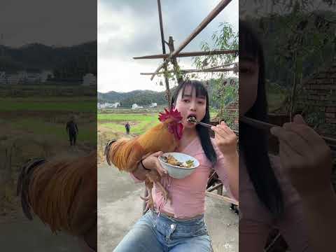 A clingy big rooster who wants me to hold him while eating and steals my food. A fighter among r