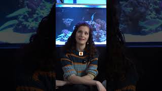 🐠 Minimum vody pro akvarijní rybku | Kvíz s Klárkou & Mírou Noskem